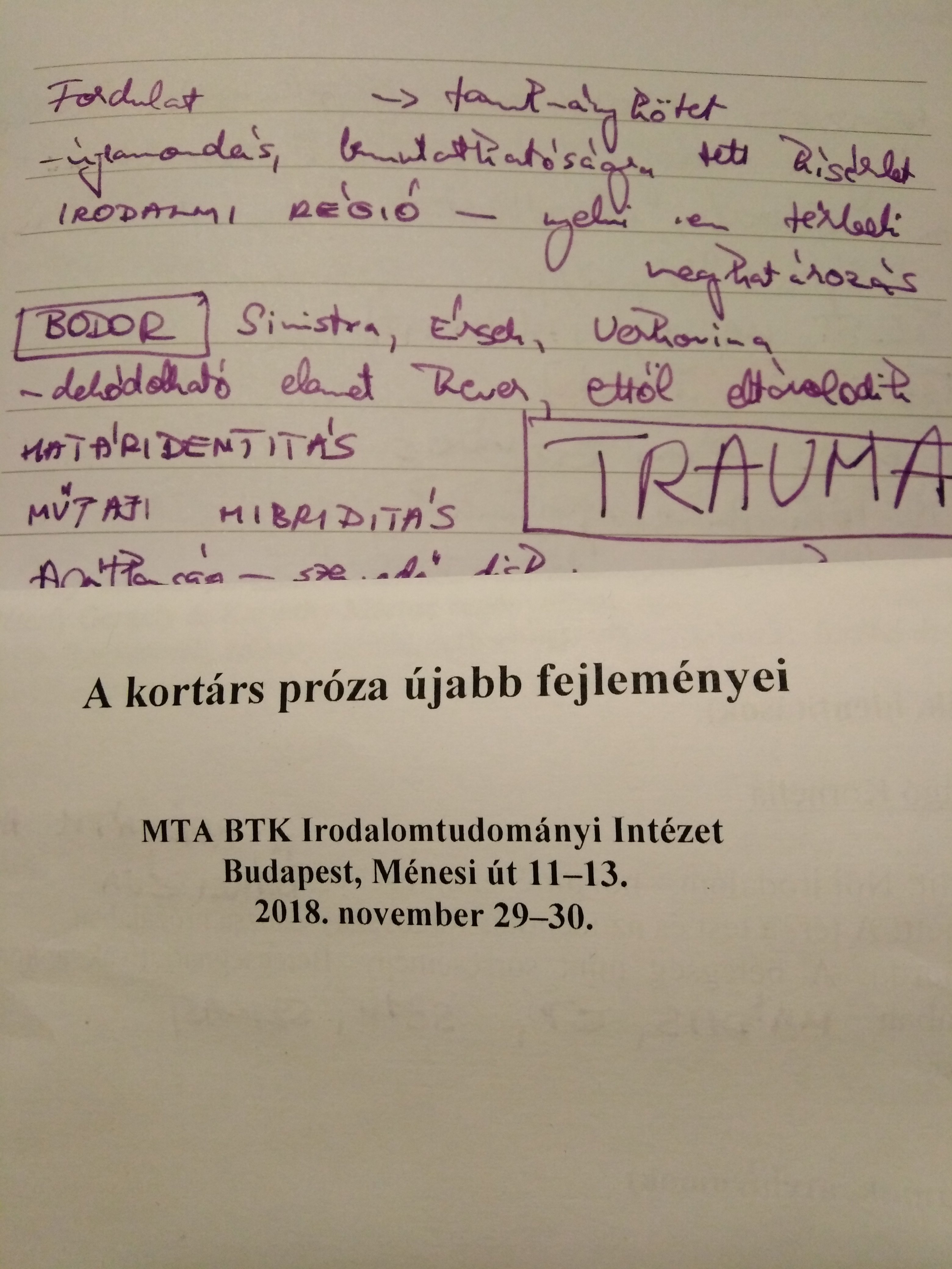 Traumatológia az Irodalomtudományi Intézetben