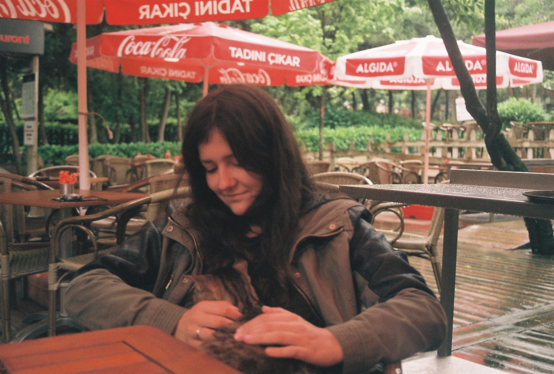 Helyzetjel: Delfinek és mókusok