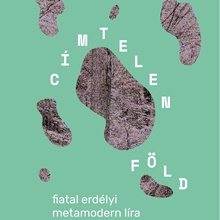 Címtelen föld: fiatal erdélyi metamodern költészet