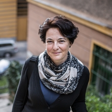 Molnár T. Eszter: Függőkert