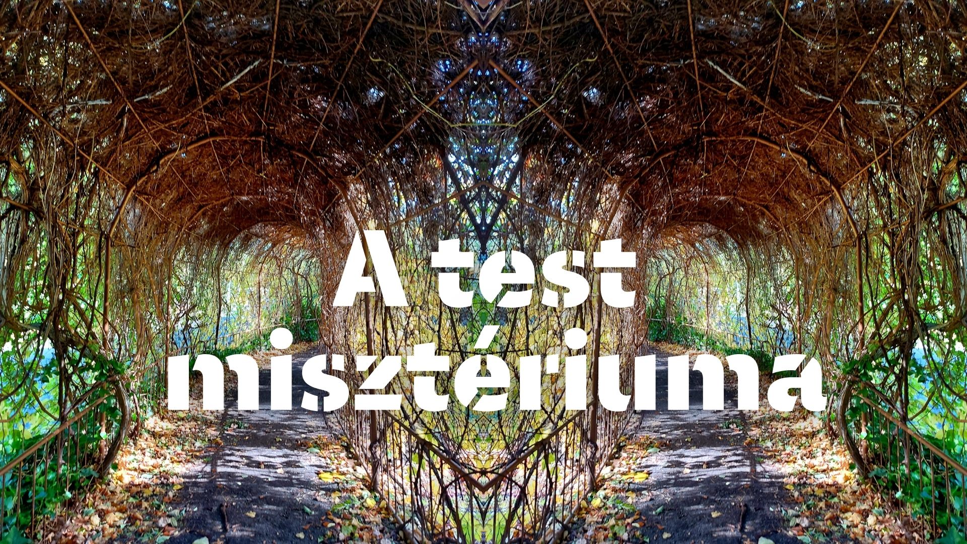 A test misztériuma premier a Cipolla Collectiva előadásában