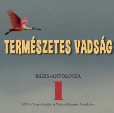 Az ember az ember alakmása