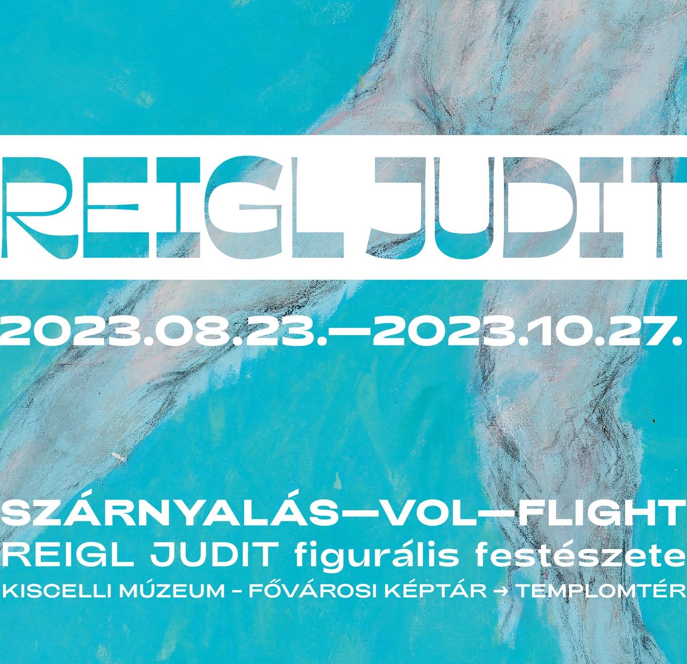 Szárnyalás-Vol-Flight. Reigl Judit figurális festészete