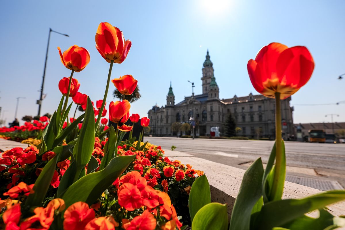 Kezdődik a Győri Tavaszi Fesztivál