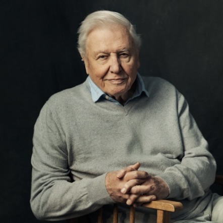 99 éves Sir David Attenborough