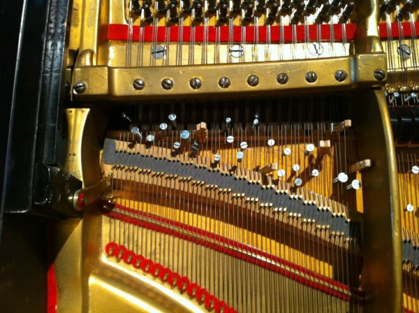 Színek, csöndek, algoritmusok