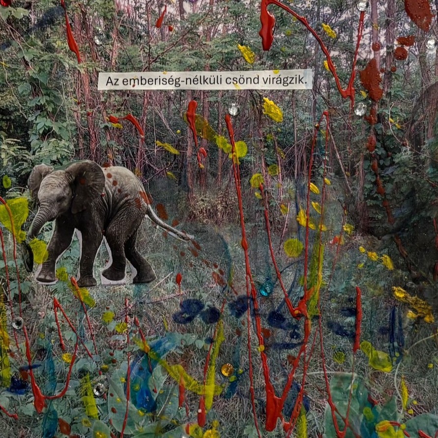 A szent tűzözön regéi