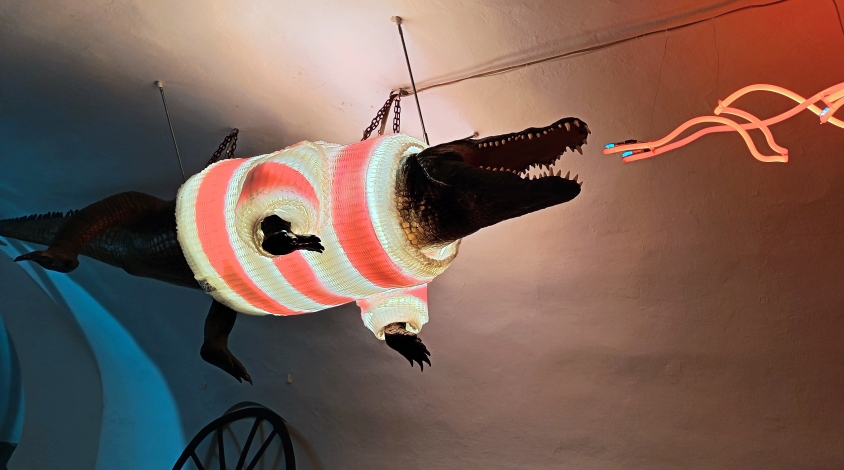 Először mindig a külvárosba menjetek