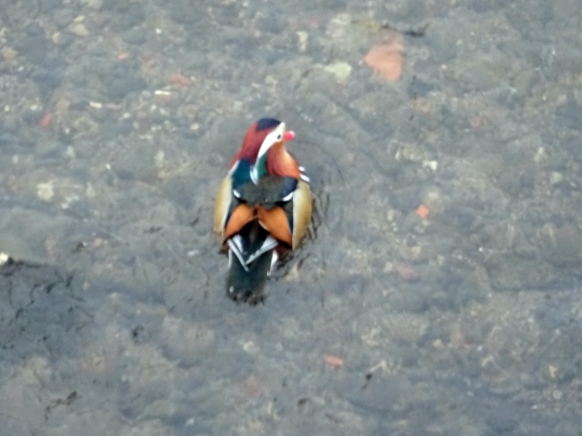 Az időutazás narkotikuma