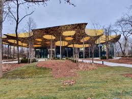 Quiz Toccata középiskolásoknak