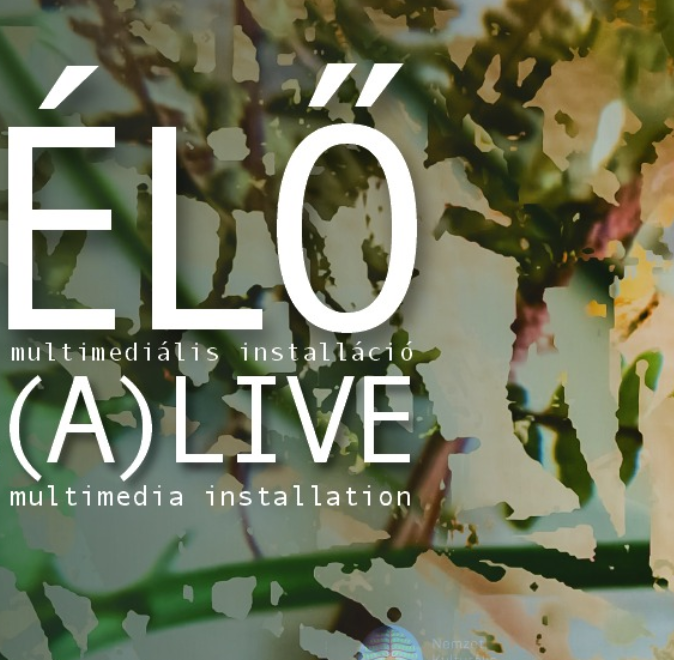 Jön blanche the vidiot kiállítása