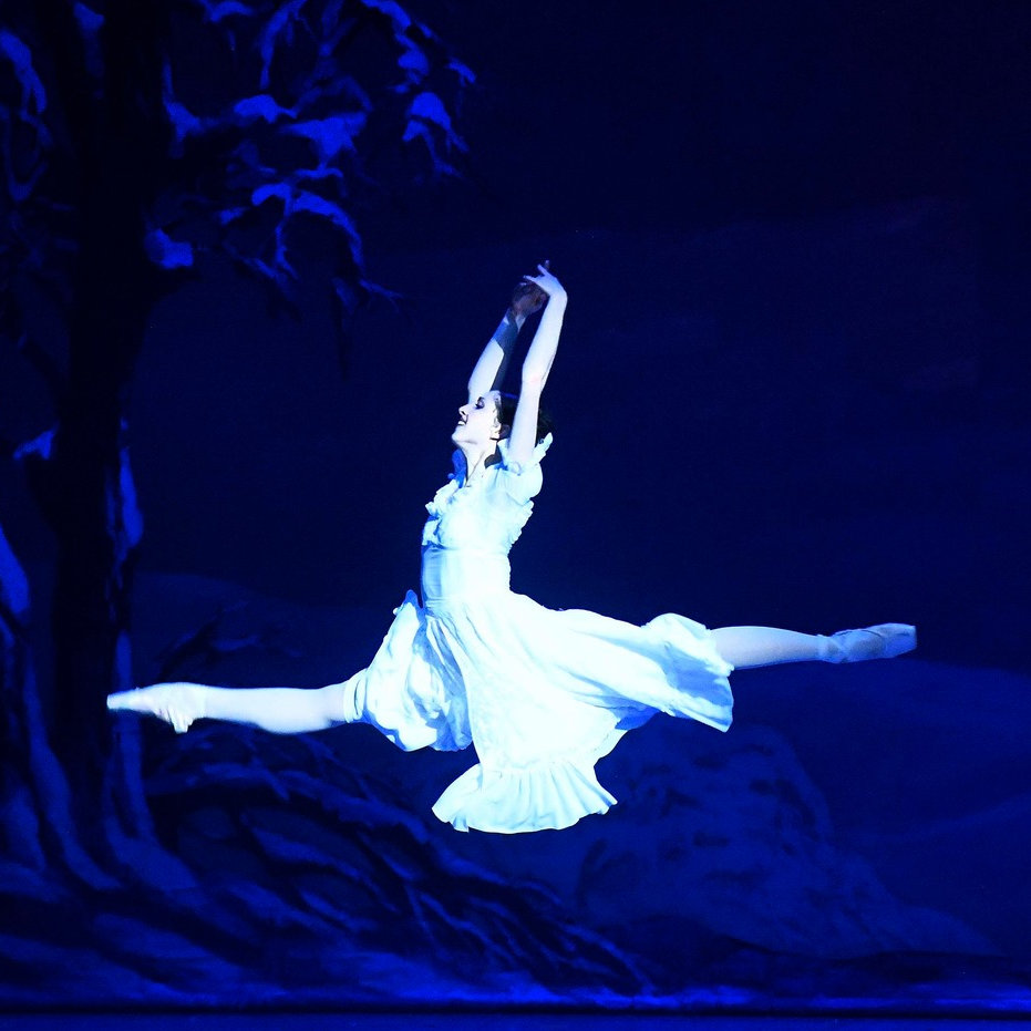 A Diótörő sikere Velencében