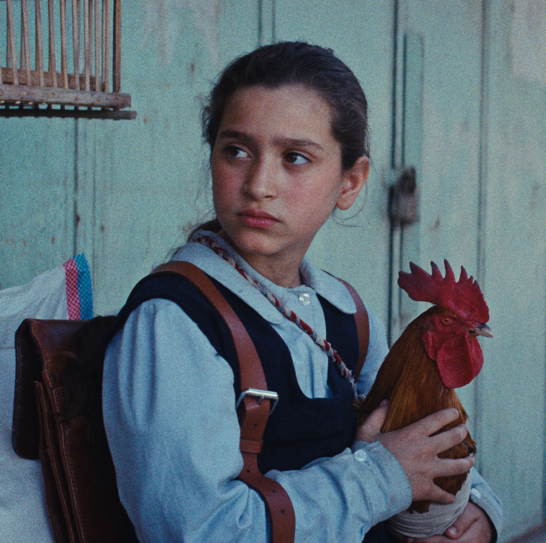 Egy tortasütő kislány és egy fantasztikus férfikórus