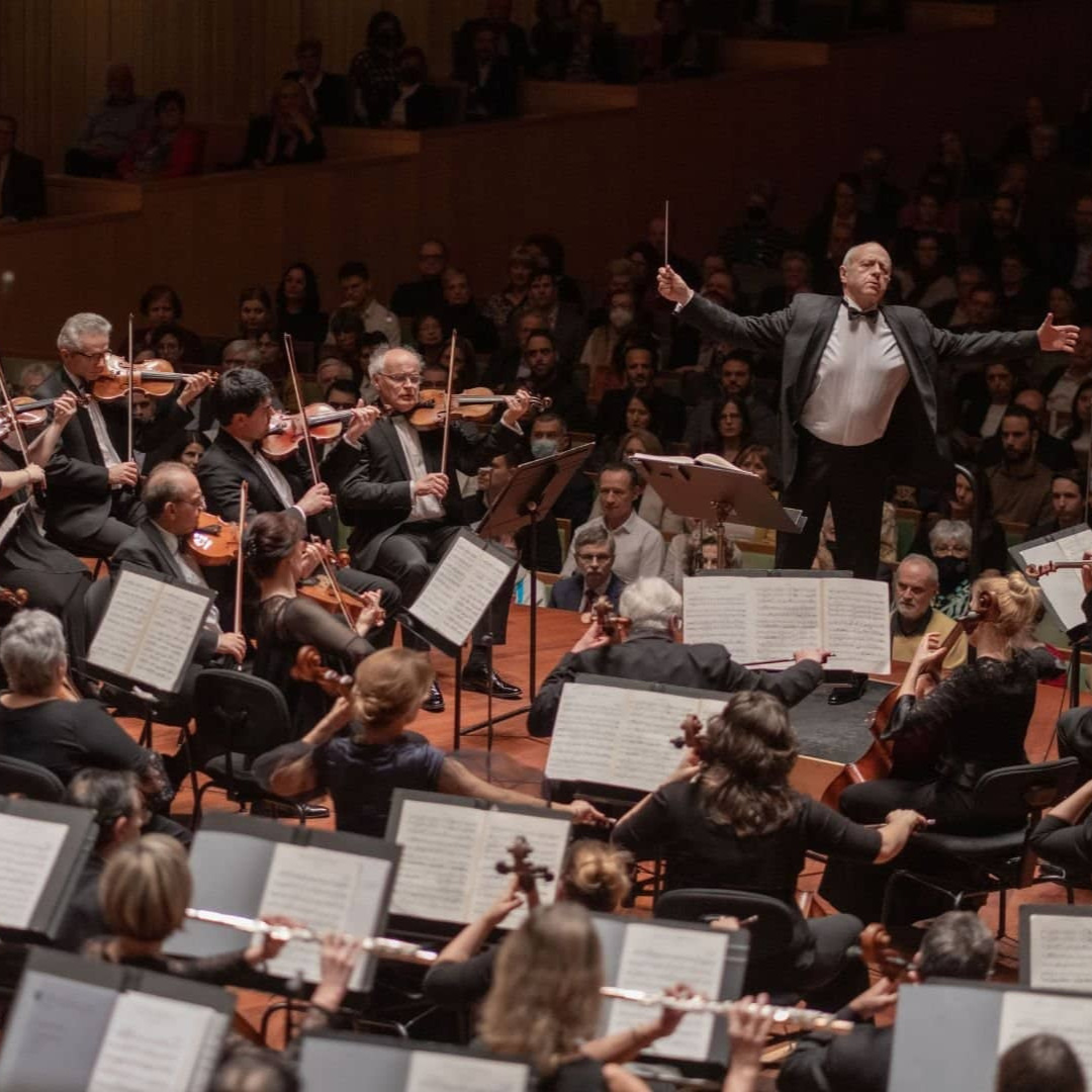 Alisa Meves lesz a BFZ művészeti igazgatója