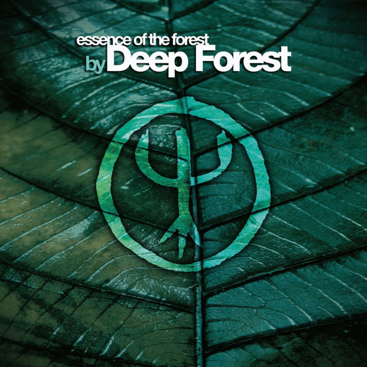 A Deep Forest fellép az Akvárium Klubban