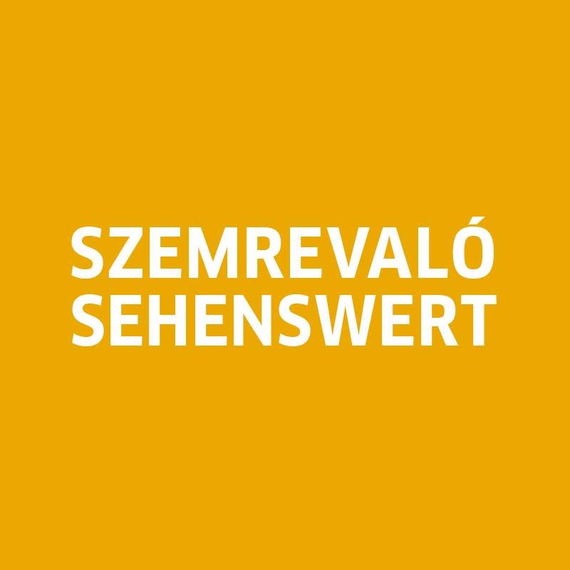 A német nyelvterület legújabb alkotásai a Szemrevaló Filmfesztiválon