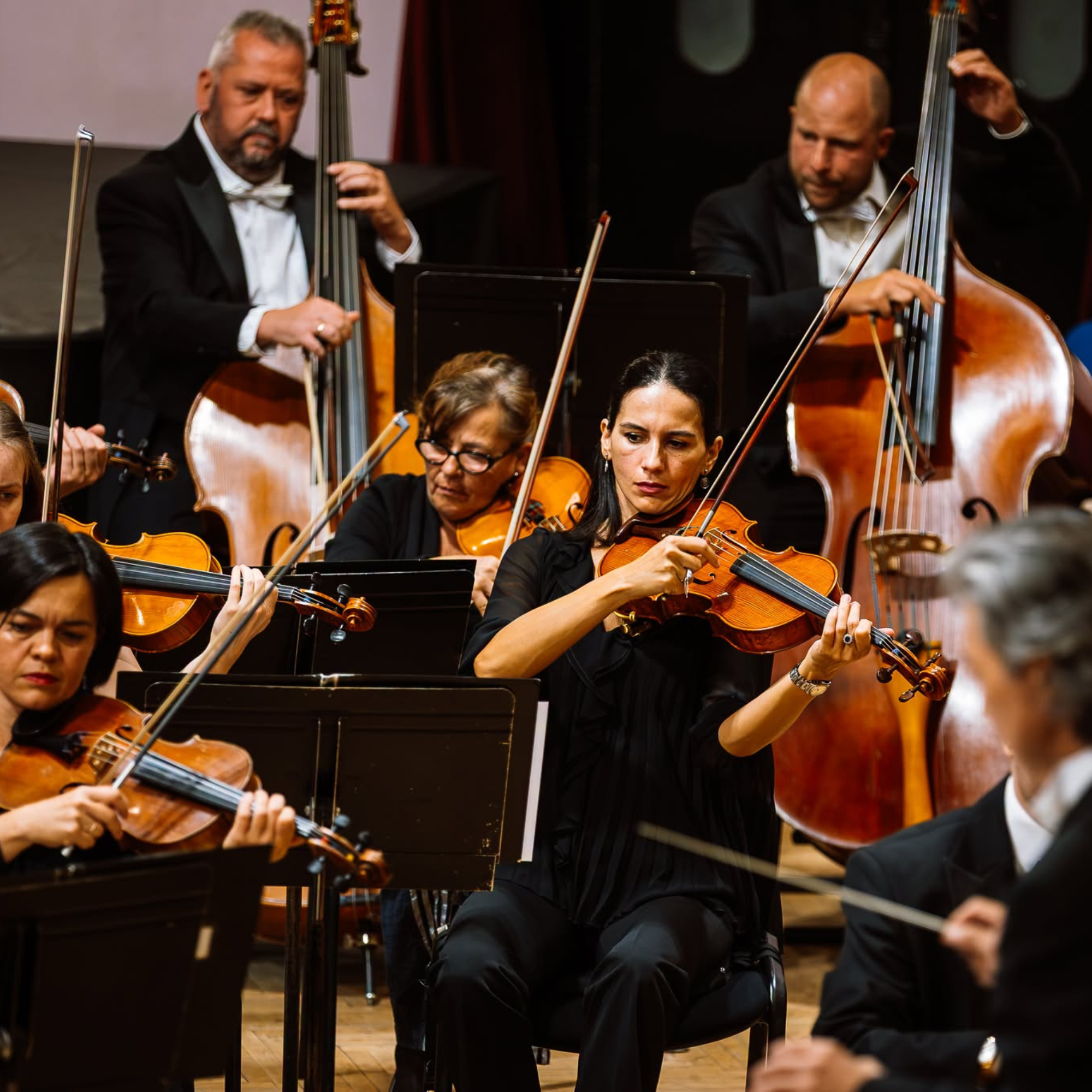 Bogányi és a Marosvásárhelyi Filharmonikusok