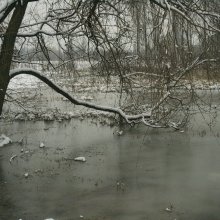 Tél