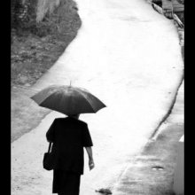 after the rain