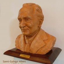 Szent-Györgyi Albert
