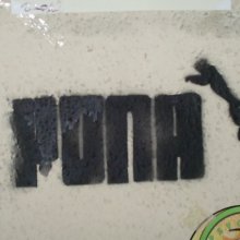 puna logo