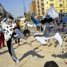 butterfight