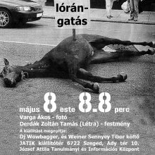 nyilvános lórángatás