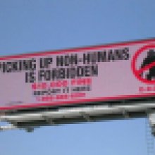Aliengettó Johannesburgban
