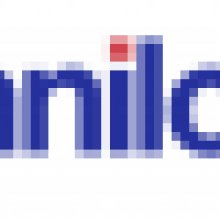 Anilogue 2009