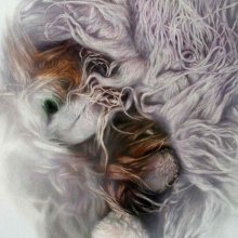 99 plüss projekt (olaj,vászon 50×70)