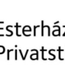 Az Esterházy Magánalapítvány pályázata fiatal festők támogatására
