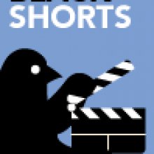 Black Shorts: erős, sűrű, fekete