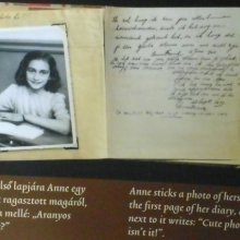 Anne Frank kiállítás az Apáczai Gimnáziumban diákok vezetésével