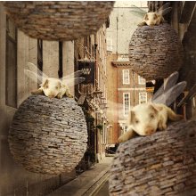 The Forgotten Flying Pig Invasion
