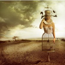 The Queen's Scarecrow