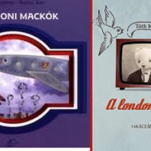 Mackótól mackóig – tízéves a Csimota
