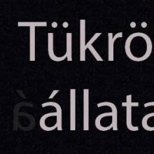 Érdektelen unikornisok legelészése a Katakrézis erdejében