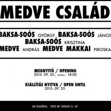 Medve család címmel nyílik kiállítás a 2B Gelériában