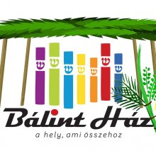 Totál filmklub a Bálint Házban