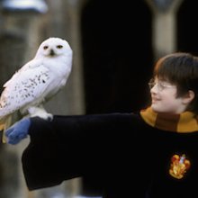 Harry Potter és a bölcsek köve élő koncerttel az Arénában