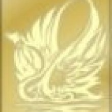 A Gold Swan Kft. regényei