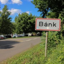 Civilprogramok, Fran Palermo és házibuli