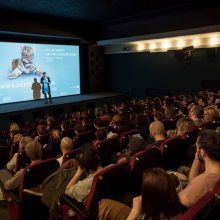 Megnyílt a nevezés a 6. Friss Hús rövidfilmfesztiválra