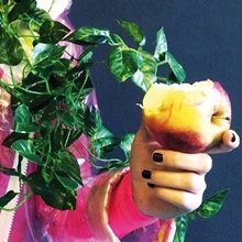 Piknik az édenben