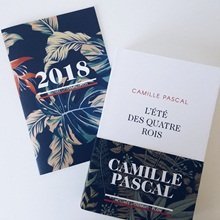 Camille Pascal kapta a Francia Akadémia Nagydíját