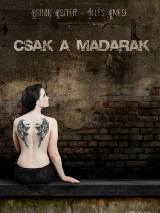 CSAK A MADARAK