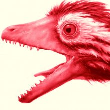ARCHEOPTERIXEK
