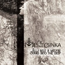 Meszecsinka: a varázslatos hangulatú dalok vinylen is megjelentek