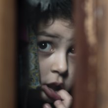 Három Oscar-jelölt rövidfilm is lesz a Friss Húson
