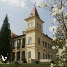 TOP 10 magyar kortárs a Vaszary Galériában